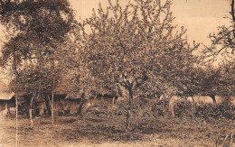 Delcampe - 76-FECAMP-N°5136-D/0229 - Fécamp