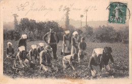 Delcampe - FO-FOLKLORE PAYSANS-N°5136-G/0309 - Autres & Non Classés