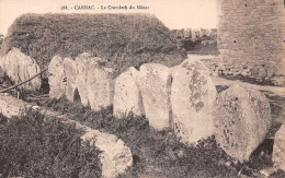 Delcampe - 56-CARNAC-N°5137-B/0301 - Carnac
