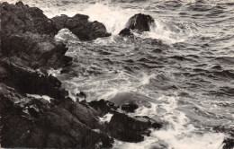Delcampe - 83-SAINT RAPHAEL-N°5138-C/0147 - Saint-Raphaël