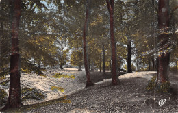 Delcampe - 62-DESVRES-N°5138-F/0201 - Desvres