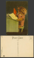 Delcampe - Dressed Cat Kitten Writing Letter, Dear Curly I Love You Dearly Tom Old Postcard - Katten