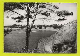 Delcampe - 22 TREBEURDEN N°167 Le Port Et La Plage De TROZOUL En 1960 - Trébeurden