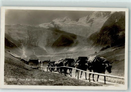 Delcampe - 3906 Saas-Fee - Abfahrt Der Post Lasttiere - 13601753 - Saas-Fee