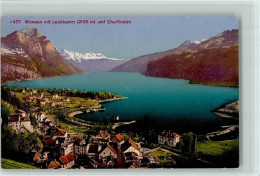 Delcampe - 8872 Weesen 1913 - Mit Leistkamm Und Churfirsten - 10198955 - Weesen