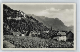 Delcampe - Vaduz - Panorama Schloss - 50687262 - Liechtenstein