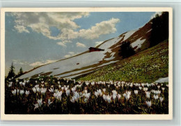Delcampe - 3715 Adelboden BE - Bergfrühling Am Hahnenmoos-Pass Schneeglöckli - 11052658 - Adelboden