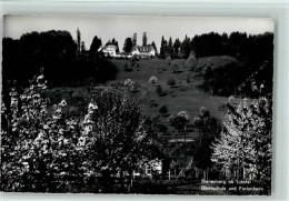 Delcampe - 4410 Liestal - Bibelschule Ferienheim Bienenberg - 10078369 - Liestal