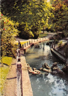 Delcampe - DEPT 80 -CPSM - ALBERT (SOMME) JARDIN PUBLIC, PONT DE LA RIVIERE D'ANCRE CIRCULEE - Albert