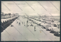 Delcampe - Ancona Senigallia FG Cartolina ZF8180 - Ancona