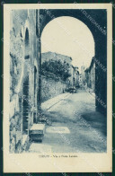 Delcampe - Siena Chiusi Porta Lavinia Cartolina MT1539 - Siena