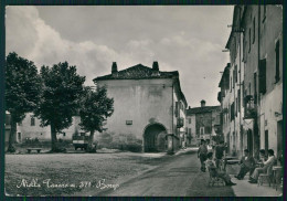 Delcampe - Cuneo Niella Tanaro Foto FG Cartolina MZ2761 - Cuneo