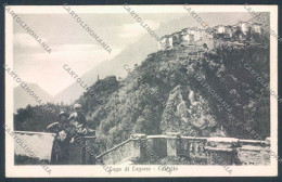 Delcampe - Como Valsolda Puria Cartolina LQ3614 - Como
