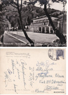 Delcampe - # MONTESARCHIO: M. TABURNO - OSTELLO E ABETAIA    1958 - Benevento