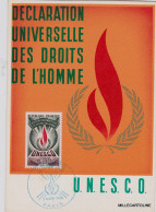 Delcampe - # UNESCO - DIRITTI DELL'UOMO 1969 - CON FRANCOBOLLO ANALOGO - MAXIMUM (Francia) - Autres & Non Classés