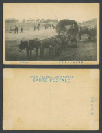 Delcampe - China Old Postcard Chinese Mule Team Native Mules Cart Street Scene Animals 支那馬車 - China