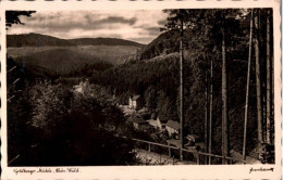 Delcampe - 6741 - Gehlberg Suhl Gehlberger Mühle - Verlag Richard Zieschank - Suhl
