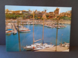 Delcampe - Vintage Postcard Palma De Mallorca Marina Viejos Molinos SVE PM159 - Unused - Palma De Mallorca