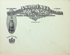 Delcampe - Romania Transylvania Hungary Coloman Andrenyi Champagne Factory Arad Advertising Cover Royal Warrant DEL 7 - Werbung