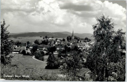 Delcampe - Zwiesel Niederbayern Zwiesel - Zwiesel