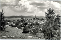 Delcampe - Zwiesel Niederbayern Zwiesel - Zwiesel