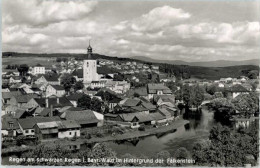 Delcampe - Regen Falkenstein - Regen