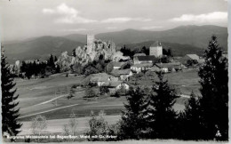 Delcampe - Regen Burgruine Weissenstein - Regen