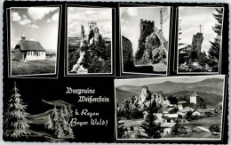 Delcampe - Regen Burgruine Weissenstein - Regen