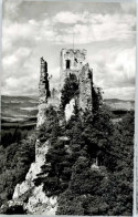 Delcampe - Regen Ruine Weissenstein - Regen