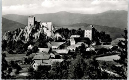 Delcampe - Regen Ruine Weissenstein - Regen