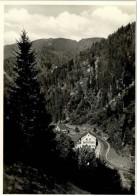 Delcampe - Gremmelsbach Gasthaus Pension Forelle - Triberg