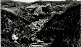Delcampe - Triberg Schwarzwaldbahn - Triberg
