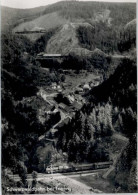 Delcampe - Triberg Schwarzwaldbahn - Triberg