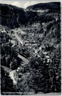 Delcampe - Triberg - Triberg