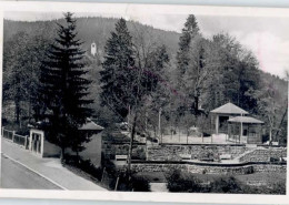 Delcampe - Triberg Burggarten - Triberg