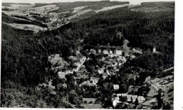 Delcampe - Triberg - Triberg