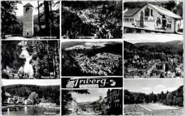 Delcampe - Triberg Bergsee Triberger Wasserfall Krieger Denkmal - Triberg
