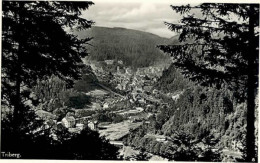 Delcampe - Triberg - Triberg