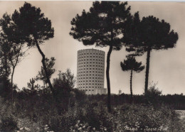 Delcampe - CARTOLINA  MASSA TOSCANA TORRE FIAT VIAGGIATA 1952  Z54 - Massa