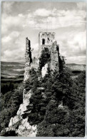 Delcampe - Regen Burg Weissenstein - Regen