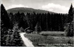 Delcampe - Zwiesel Niederbayern Zwiesel Gasthaus Schwellhaeusl - Zwiesel
