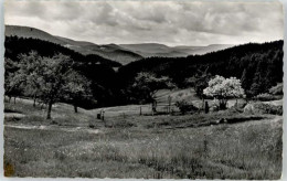 Delcampe - Alpirsbach - Alpirsbach