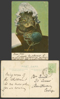 Delcampe - Cat Kitten Granny With Glasses Spectacles Knitting Yarn 1906 Old Colour Postcard - Katten
