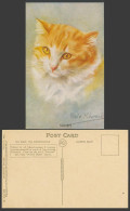 Delcampe - Persis Kirmse Artist Signed, An Orange Cat Kitten - Sandy Old Postcard Art Drawn - Katten