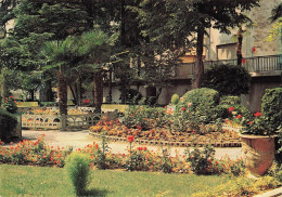 Delcampe - 84 CAVAILLON UN JOLI COIN FLEURI DANS LE JARDIN PUBLIC - Cavaillon
