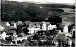 Delcampe - Daun Eifel Daun Hotel Schramm - Daun