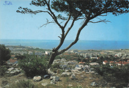 Delcampe - 34 SETE VUE PANORAMIQUE SUR LA CORNICHE ET LA MER - Sete (Cette)