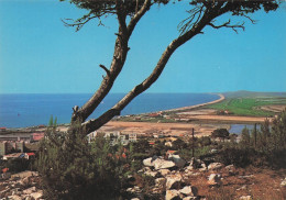 Delcampe - 34 SETE LA GRANDE PLAGE DE LA CORNICHE - Sete (Cette)