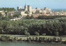 Delcampe - 84 AVIGNON PONT SAINT BENEZET - Avignon