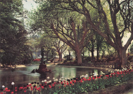 Delcampe - 84 AVIGNON LE JARDIN DU ROCHER DES DOMS - Avignon